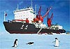 100x70-chinare