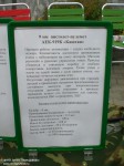 9-мм "Каштан"