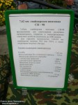 7,62-мм СВ-98