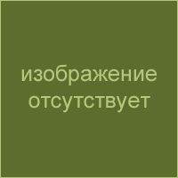 Боевые машины пехоты — Гватемала